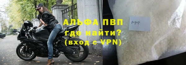 гашик Верея