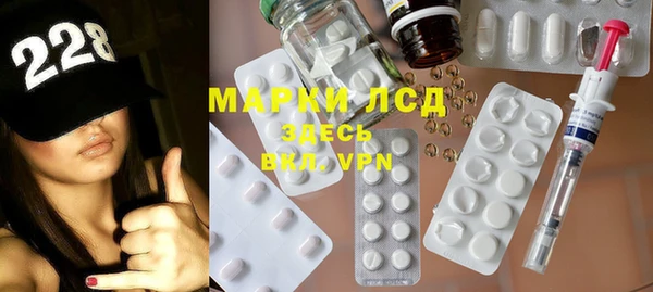 гашик Верея