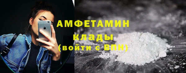 гашик Верея