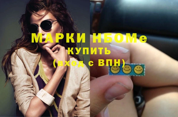 гашик Верея