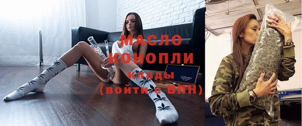 гашик Верея